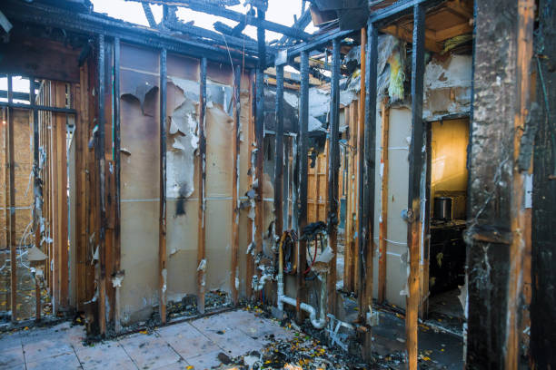 Professional Soot Cleanup technician working in St. Leo, FL